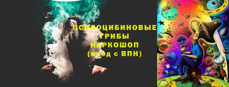 shop телеграм  Беслан  Галлюциногенные грибы Magic Shrooms 